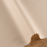 dark-beige-ar3