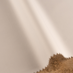 sugar-2