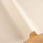 light-beige-2