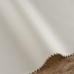 sugar-2